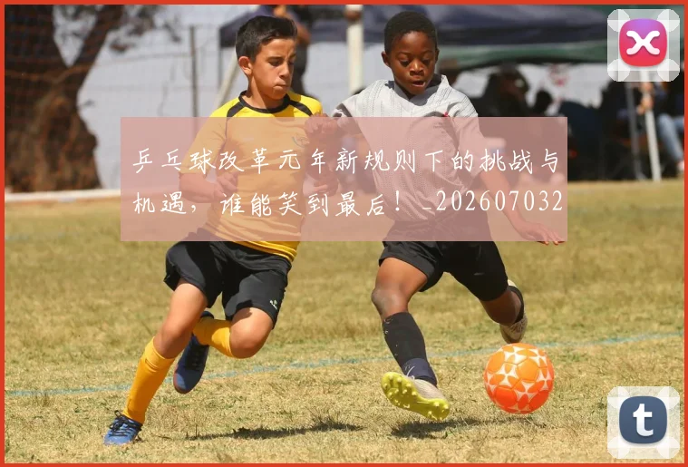 乒乓球改革元年新规则下的挑战与机遇,谁能笑到最后!_20260703212253
