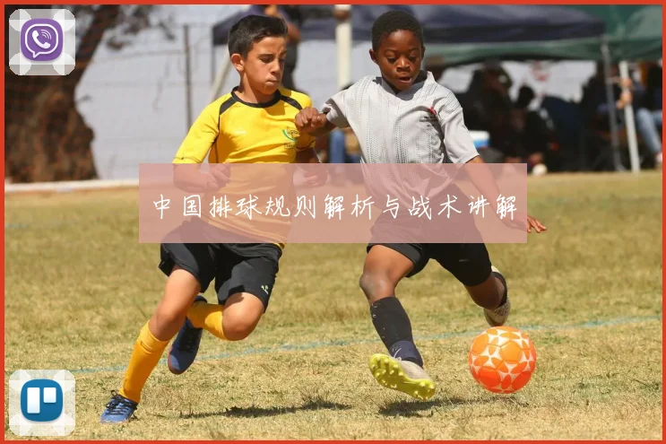 中国排球规则解析与战术讲解
