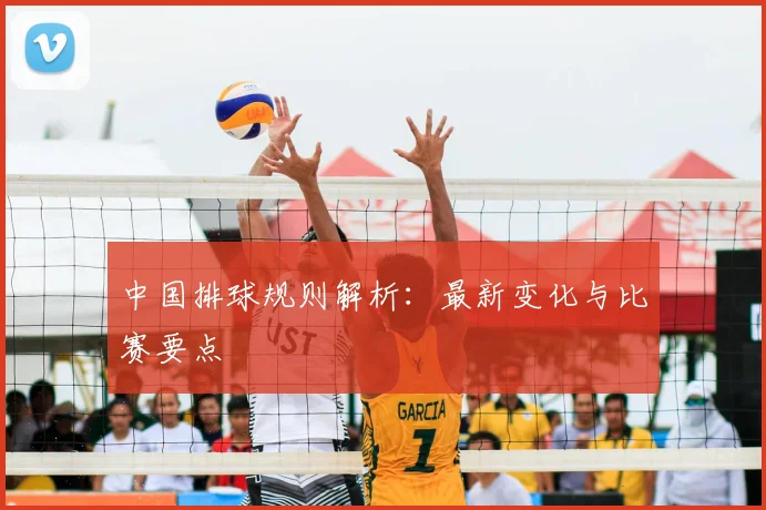 中国排球规则解析：最新变化与比赛要点