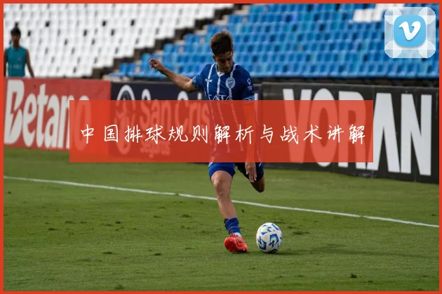 中国排球规则解析与战术讲解