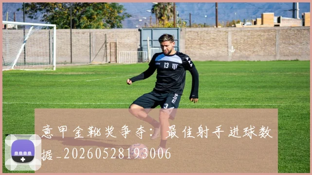 意甲金靴奖争夺:最佳射手进球数据_20260528193006